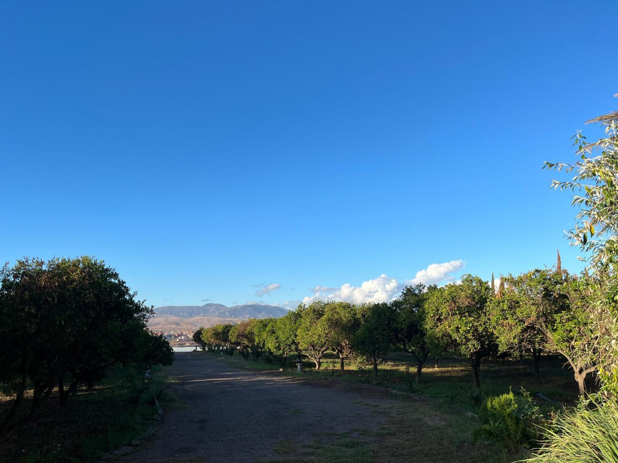 Tiguimi Vacances - Oasis Villas, Cadre Naturel Et Vue Montagne アガディール エクステリア 写真