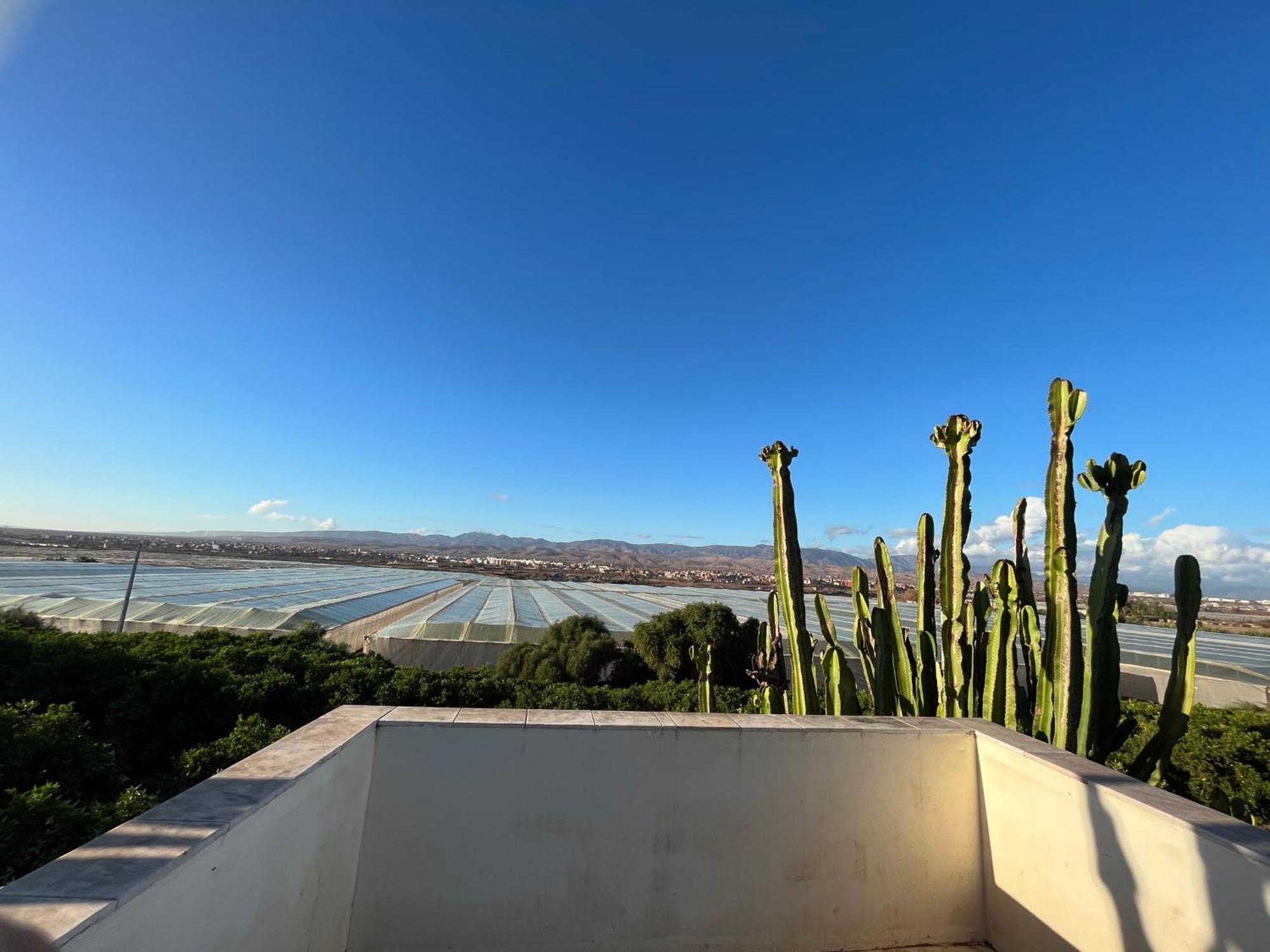 Tiguimi Vacances - Oasis Villas, Cadre Naturel Et Vue Montagne アガディール エクステリア 写真