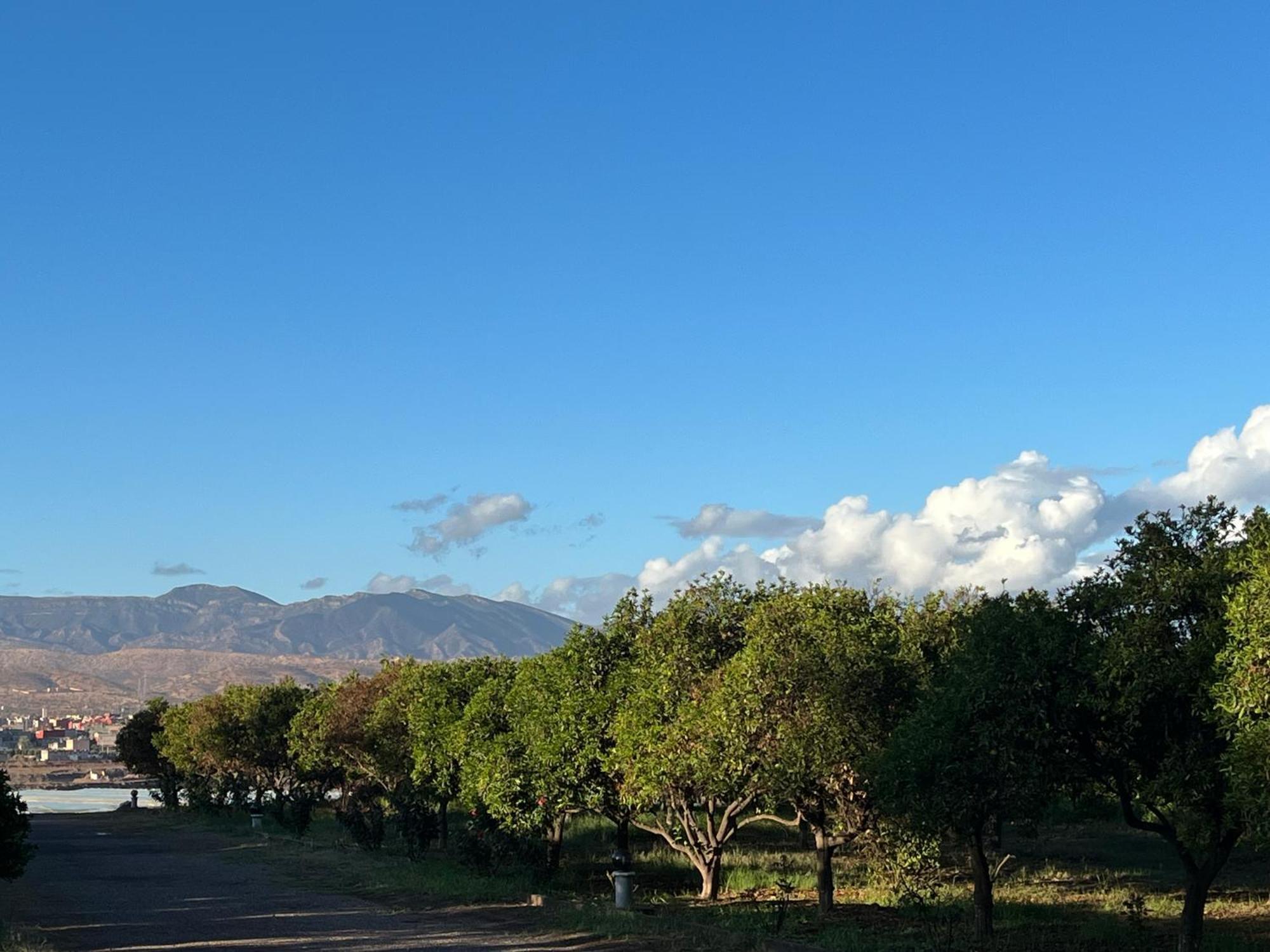 Tiguimi Vacances - Oasis Villas, Cadre Naturel Et Vue Montagne アガディール エクステリア 写真